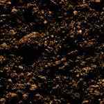 Tőzeges termőföld